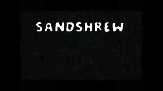 File:Sandshrew.png