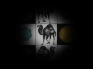 Camel.png
