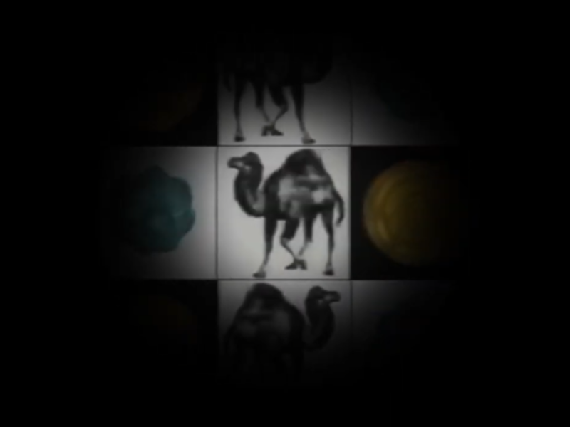 File:Camel.png