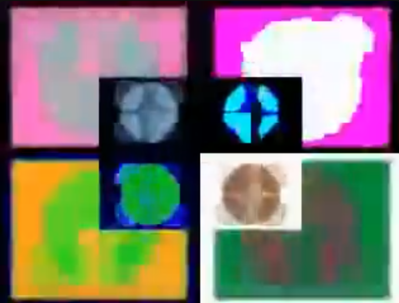 File:Zach bop ins.png