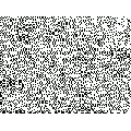 Thumbnail for version as of 22:53, 14 August 2025